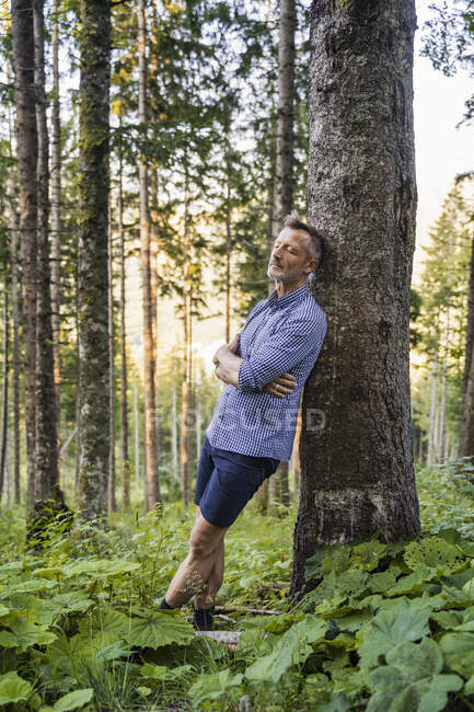 Man with arms crossed leaning on tree in forest — Stock Photo