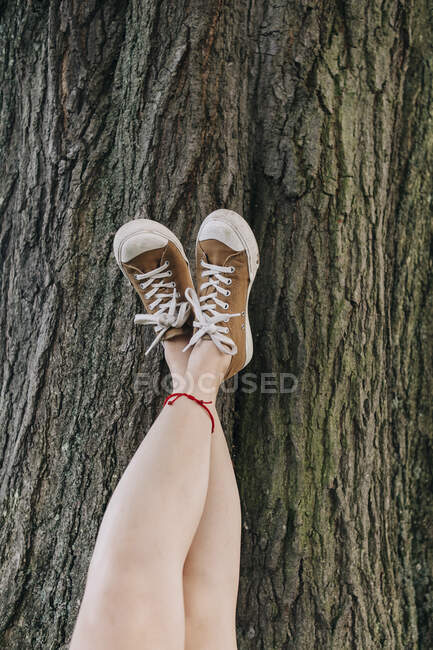 Mulher com os pés apoiados no tronco da árvore — Fotografia de Stock