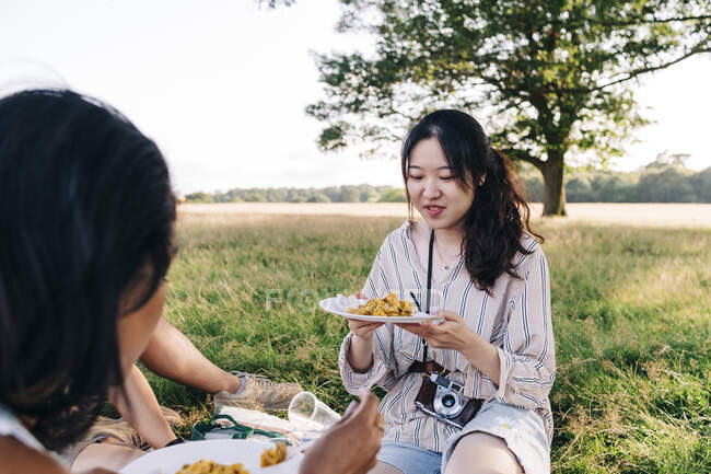 Amici che mangiano cibo durante il picnic nel parco — Foto stock