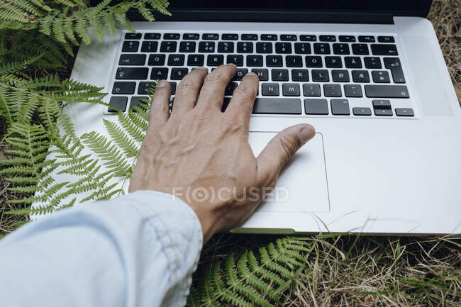 Uomo che utilizza il computer portatile su erba nella foresta — Foto stock