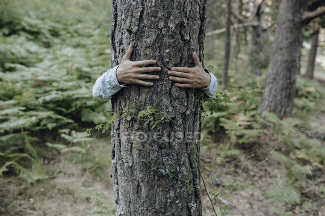 Uomo che abbraccia albero nella foresta — Foto stock