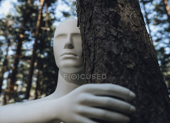Robot abrazando el árbol en el bosque - foto de stock