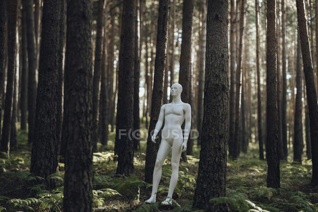 Робот, стоящий среди деревьев в лесу — стоковое фото