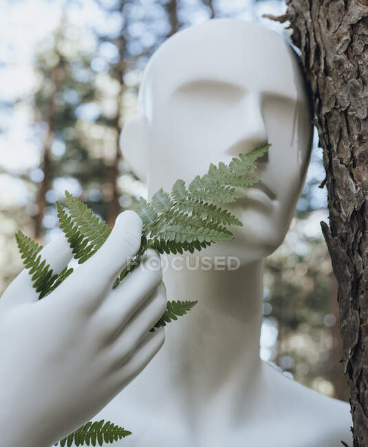 Robot foglie odorose mentre appoggiato sul tronco d'albero nella foresta — Foto stock