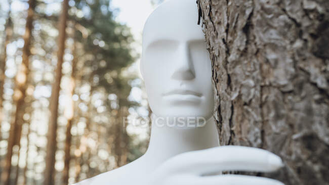 Робот стоит за деревом в лесу — стоковое фото