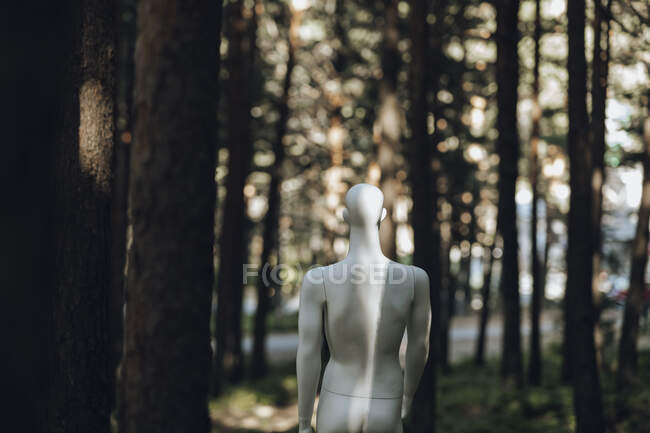 Робот среди деревьев в лесу — стоковое фото