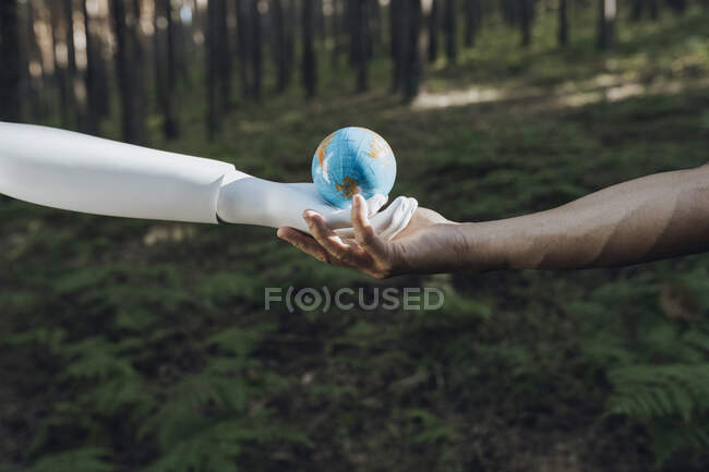 Человек и робот держат земной шар вместе в лесу — стоковое фото