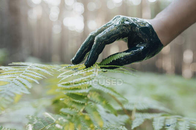 Взрослый мужчина в перчатках трогает растение в лесу — стоковое фото