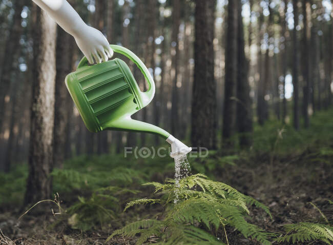 Piante da irrigazione robot nella foresta — Foto stock
