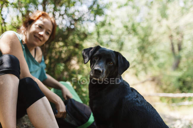 Mujer sonriente y perro en el bosque - foto de stock