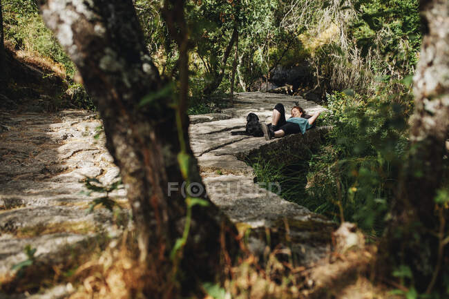 Female pet owner and dog on footpath in forest — Stock Photo