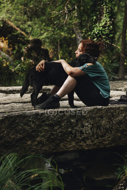 Propietaria de mascota adulta mediana abrazando al perro en el bosque - foto de stock
