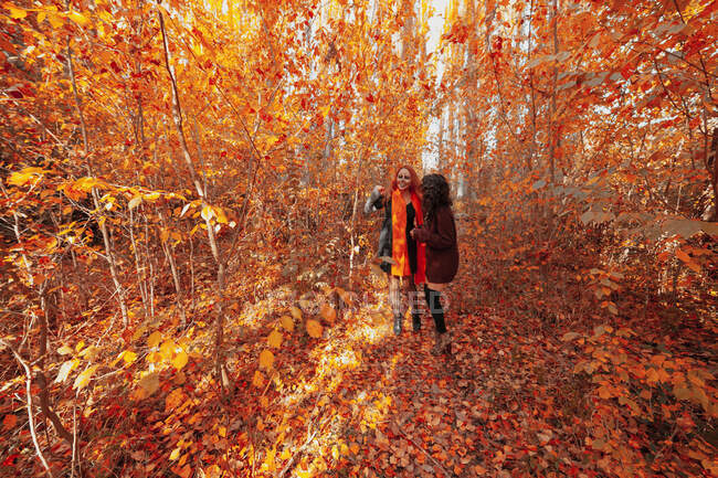 Друзі з костюмом Хеллоуїна, стоячи в лісі восени — стокове фото