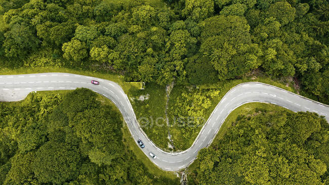 Panorama aereo di strada di campagna che si snoda attraverso il verde paesaggio boschivo — Foto stock