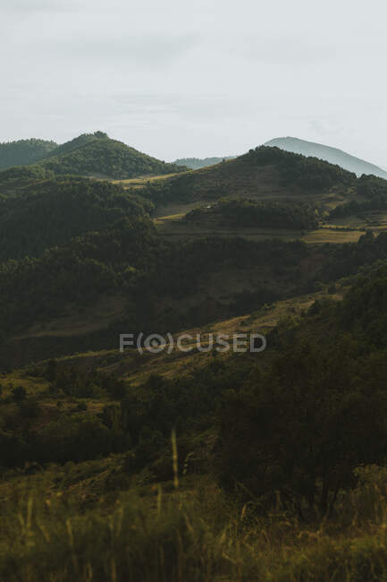Vista del paisaje forestal en los Pirineos - foto de stock