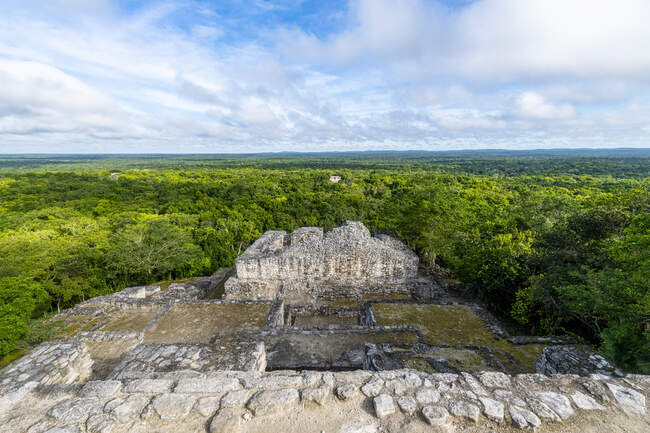 Mexique, Campeche, Forêt tropicale verte vue des anciennes ruines mayas de Calakmul — Photo de stock