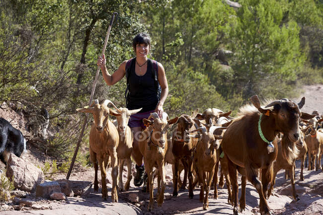 Smiling female shepherd hiking with goats on sunny day — Stock Photo