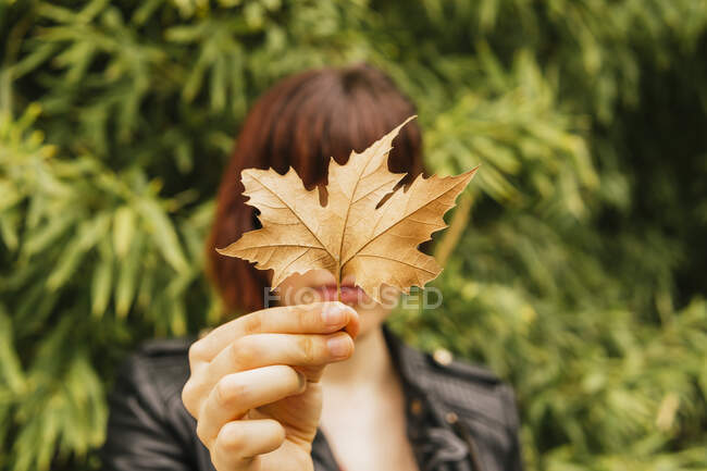 Woman holding autumn leaf in front of face — Stock Photo