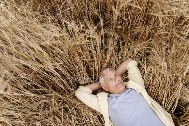 Uomo anziano con le mani dietro la testa appoggiato sul campo di grano — Foto stock