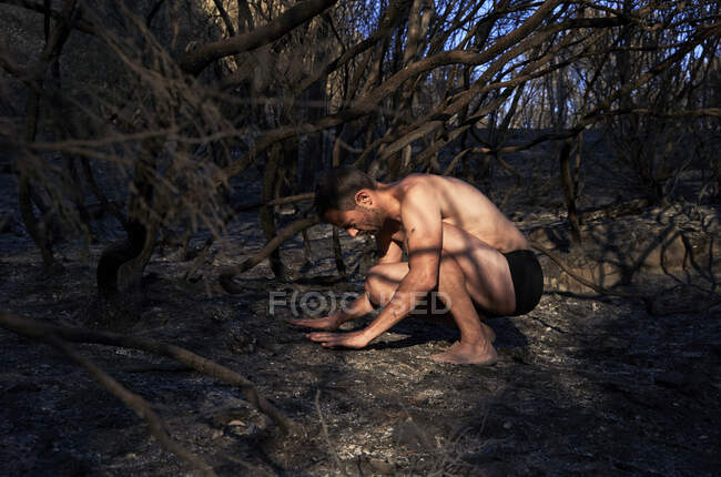 Hombre tocando suelo quemado bosque - foto de stock