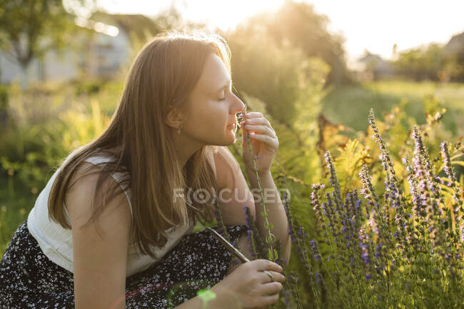 Mujer oliendo flor de hisopo en el patio trasero - foto de stock