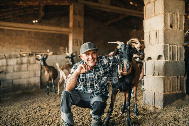 Smiling senior male goat herder with goats in shed — Stock Photo