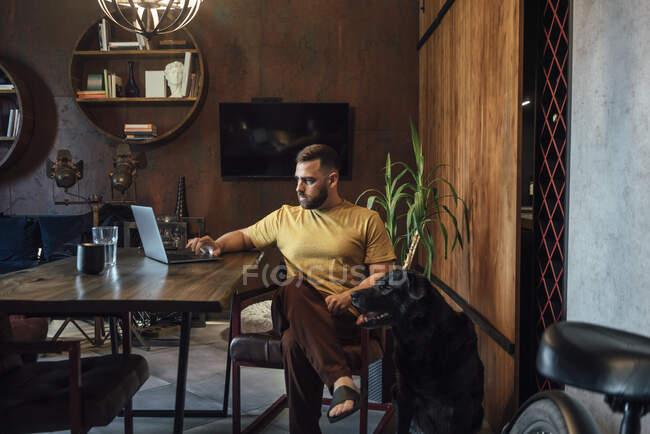Seriöser Freiberufler nutzt Laptop mit Hund im Homeoffice — Stockfoto