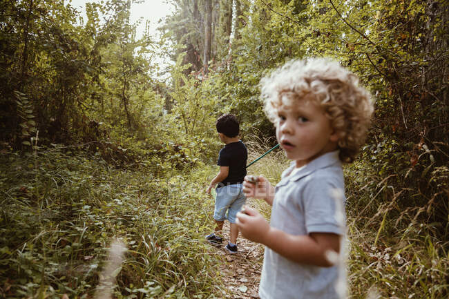 Meninos despreocupados andando na floresta — Fotografia de Stock