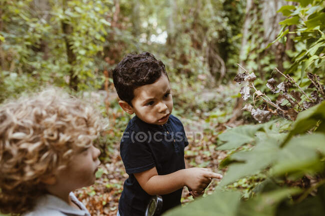 Ragazzo che indica la pianta mentre parla con un amico maschio nella foresta — Foto stock