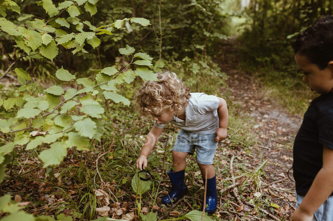 Хлопчик вивчає рослину за допомогою збільшувального скла з другом - хлопцем з лісу. — стокове фото