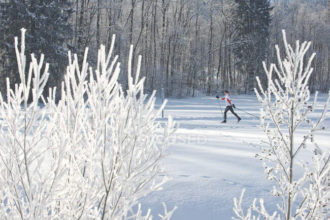 Зрелая женщина с лыжными палками на снегу зимой — стоковое фото
