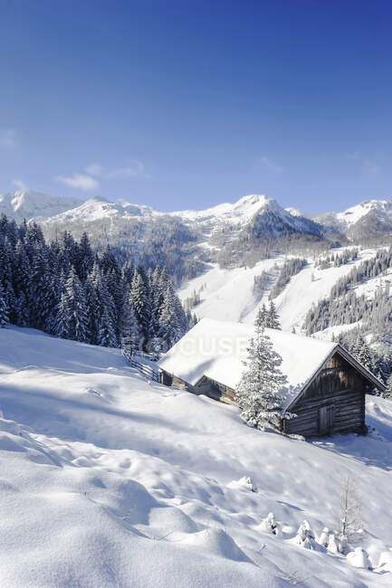 Scenic mountains and alms on snow during winter in Salzburger Land, Austria — Stock Photo