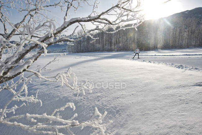 Женщина катается на снегу в солнечный день — стоковое фото