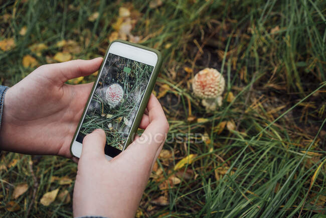 Garçon photographier fleur par téléphone intelligent dans la forêt — Photo de stock