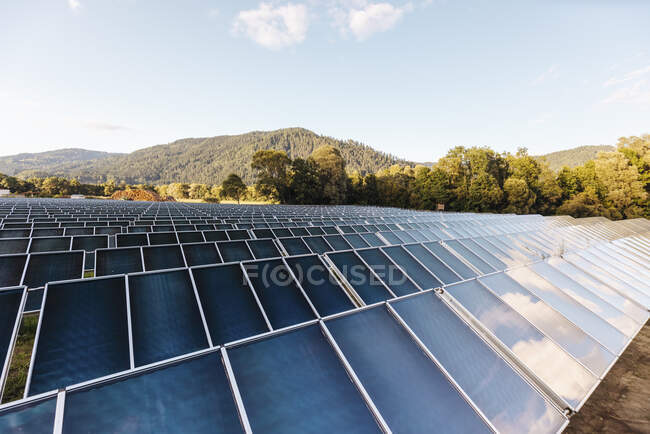 Filas de paneles de la central solar - foto de stock