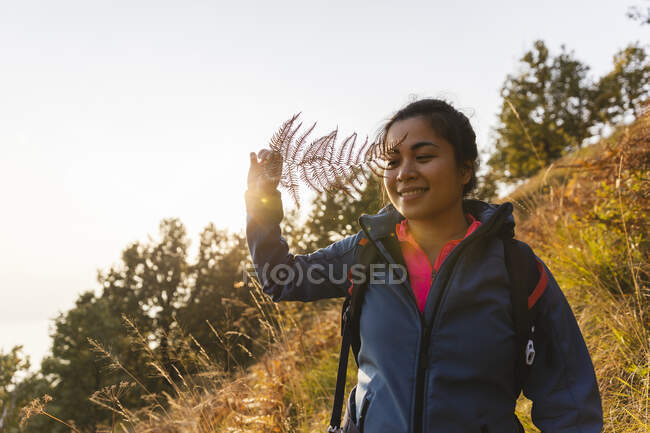 Donna sorridente guardando attraverso felce sulla montagna — Foto stock