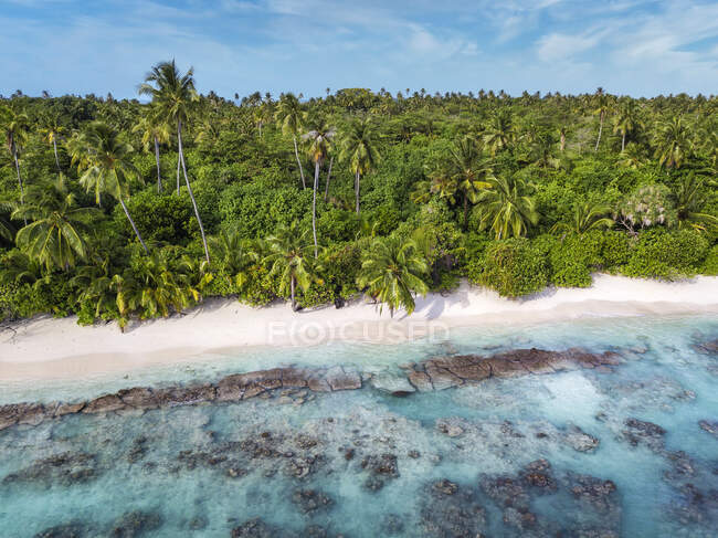 Maldives, Kolhumadulu Atoll, Aerial view of forested coastline of Kanimeedhoo island — Stock Photo
