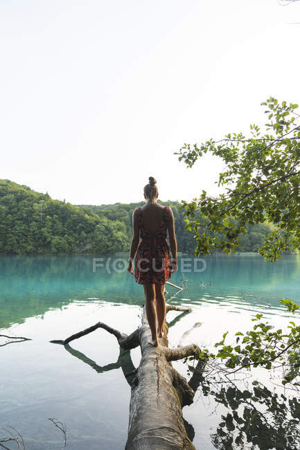 Jovem mulher em pé na árvore da margem do lago caída no Parque Nacional dos Lagos de Plitvice — Fotografia de Stock