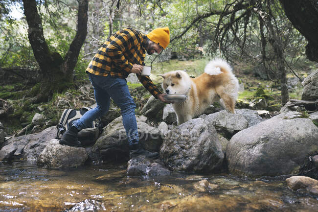 Чоловічий турист годує собаку акіта в лісі під час відпустки. — стокове фото