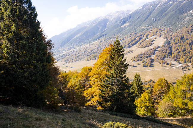 Осенняя долина в Монте-Бальдо — стоковое фото