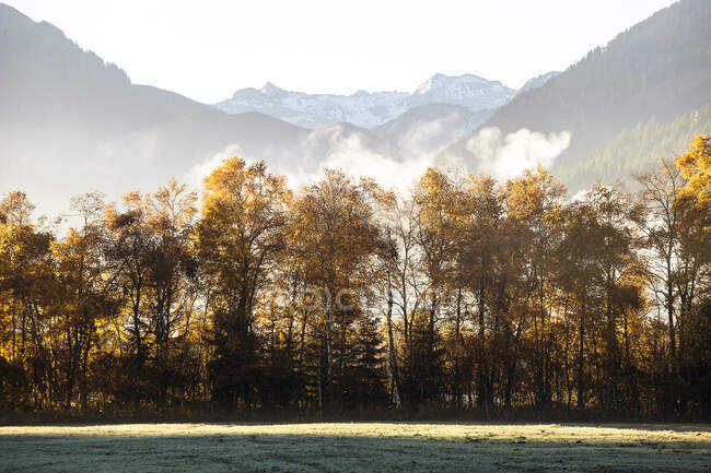 Ennstal at foggy autumn dawn — Stock Photo