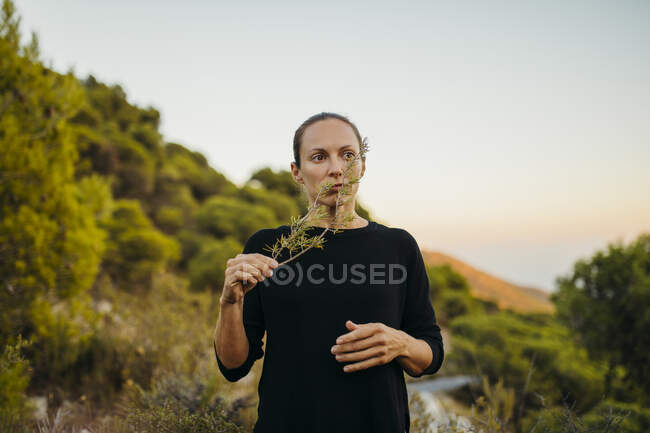 Жінка пахне росовою рослиною на горі. — стокове фото