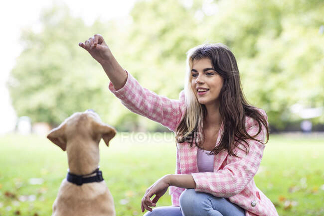 Hermosa joven con la mano levantada mirando al perro en el parque público - foto de stock