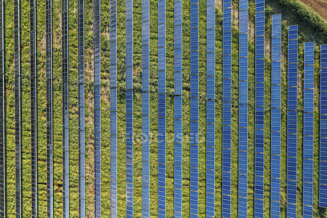 Вид с воздуха на ряды панелей солнечной электростанции — стоковое фото