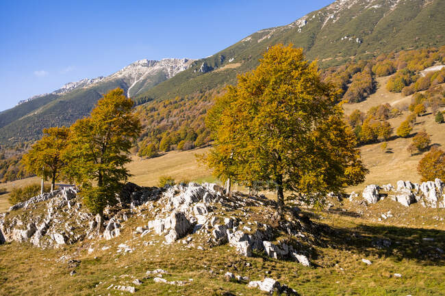Valle d'autunno nella catena del Monte Baldo — Foto stock