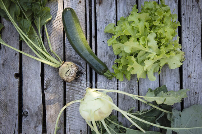 Homegrown turnip, lettuce, zucchini and kohlrabi cabbage lying on wooden table — Stock Photo