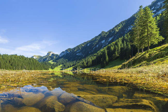 Берег озера Самтисерзее в Альпштайнском хребте летом — стоковое фото
