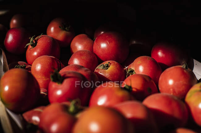 Tas de tomates rouges fraîches — Photo de stock