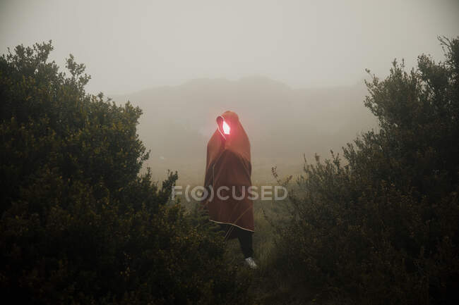 Man with illuminated face covered in blanket while standing amidst plants on mountain — Stock Photo