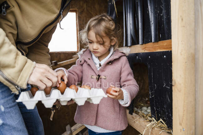 Jolie fille organiser oeufs dans conteneur à la ferme — Photo de stock